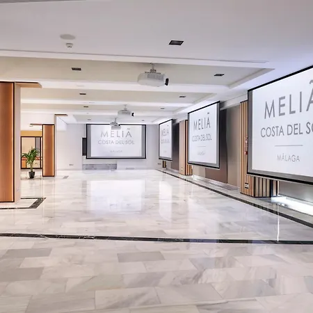 Hotel Melia Costa Del Sol 4*