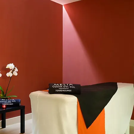 Otel Melia Costa Del Sol 4*
