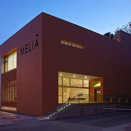 Hotel Melia Costa Del Sol 4*