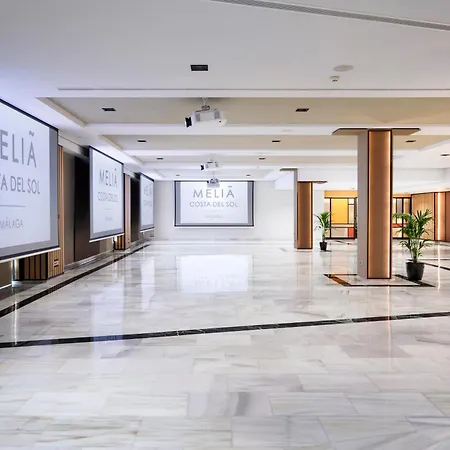 Melia Costa Del Sol Hotel Torremolinos